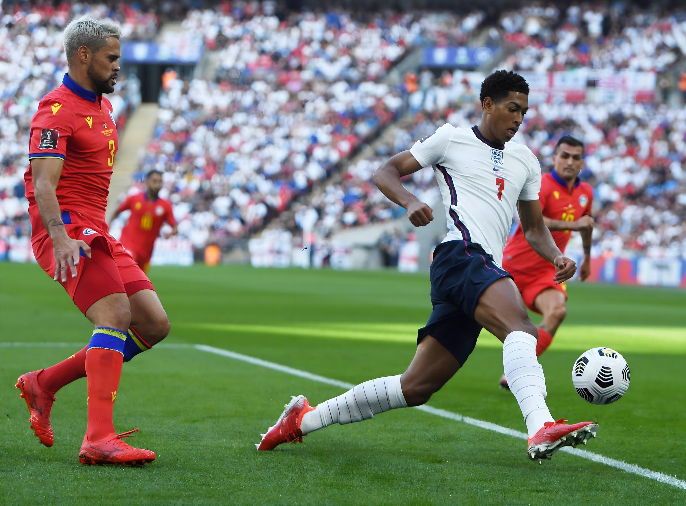 麦康奈尔获 麦康奈尔获