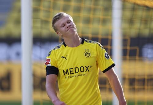 海港队倾向 海港队倾向