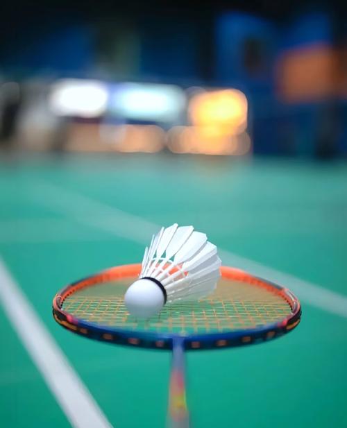 目的选择权 目的选择权